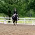 Greystone Dressage